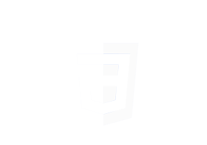 css3